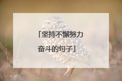 坚持不懈努力奋斗的句子