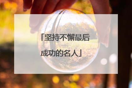 坚持不懈最后成功的名人