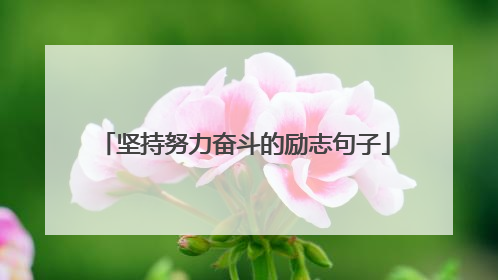 坚持努力奋斗的励志句子