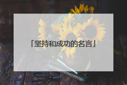 坚持和成功的名言