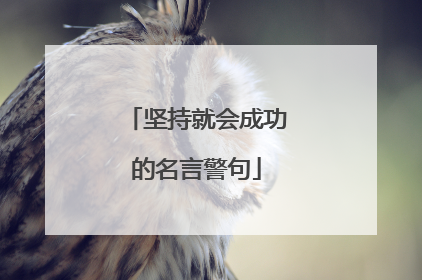 坚持就会成功的名言警句