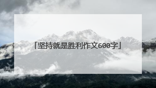 坚持就是胜利作文600字