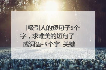 吸引人的短句子5个字，求唯美的短句子 或词语~5个字 关键词 生日 唯