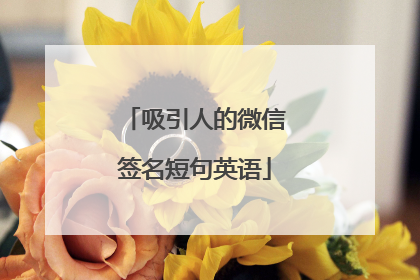 吸引人的微信签名短句英语