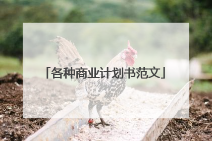 各种商业计划书范文