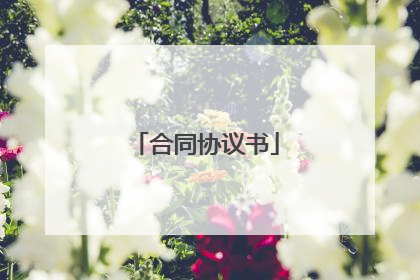 合同协议书