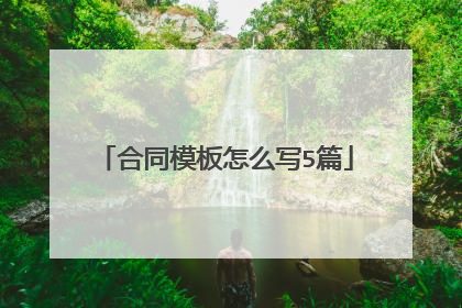 合同模板怎么写5篇