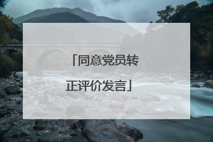 同意党员转正评价发言
