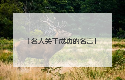 名人关于成功的名言