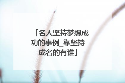 名人坚持梦想成功的事例_靠坚持成名的有谁