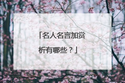 名人名言加赏析有哪些？
