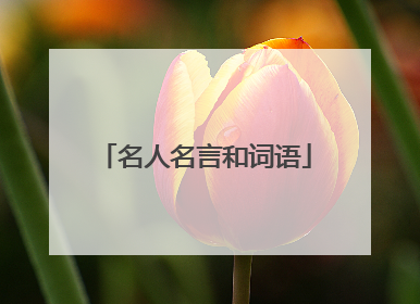 名人名言和词语