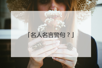 名人名言警句？