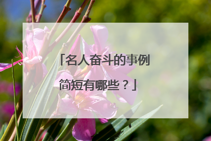 名人奋斗的事例简短有哪些?