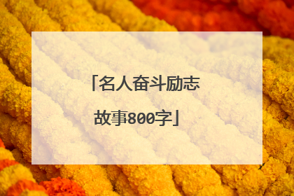 名人奋斗励志故事800字