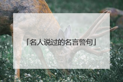 名人说过的名言警句