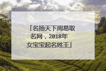 名扬天下周易取名网，2018年女宝宝起名姓王
