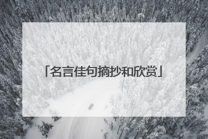 名言佳句摘抄和欣赏