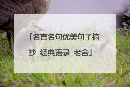 名言名句优美句子摘抄 经典语录 老舍