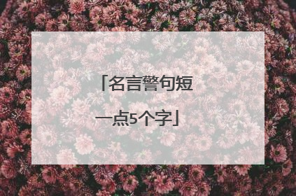 名言警句短一点5个字