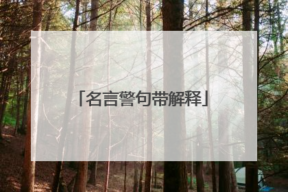 名言警句带解释