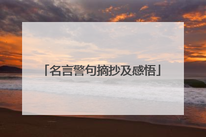 名言警句摘抄及感悟