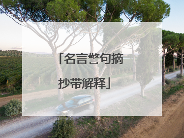 名言警句摘抄带解释