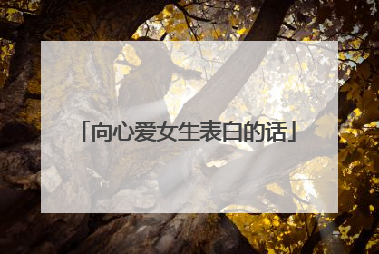 向心爱女生表白的话