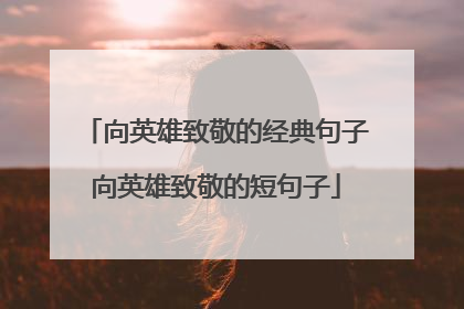 向英雄致敬的经典句子向英雄致敬的短句子