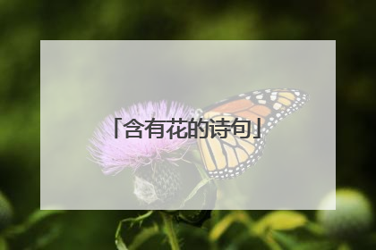 含有花的诗句