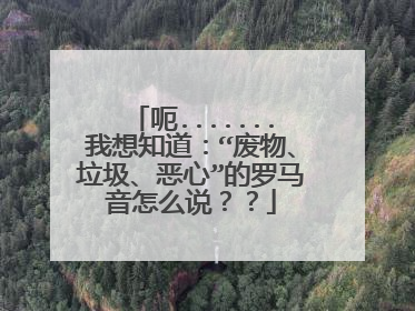 呃.......我想知道：“废物、垃圾、恶心”的罗马音怎么说？？