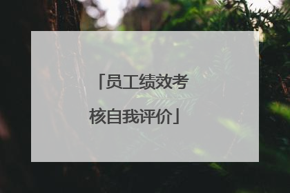 员工绩效考核自我评价