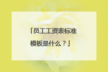 员工工资表标准模板是什么?