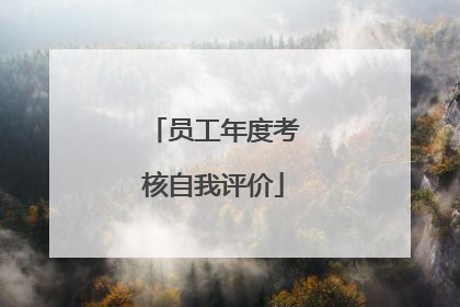 员工年度考核自我评价