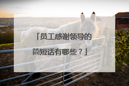 员工感谢领导的简短话有哪些?
