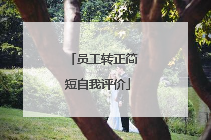 员工转正简短自我评价