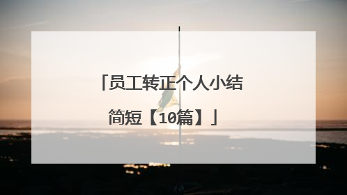 员工转正个人小结简短【10篇】