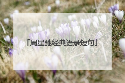 周星驰经典语录短句