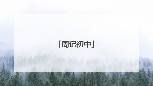 周记初中