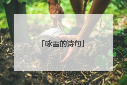 咏雪的诗句