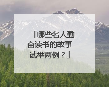 哪些名人勤奋读书的故事试举两例?