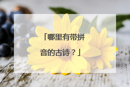 哪里有带拼音的古诗？