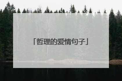 哲理的爱情句子