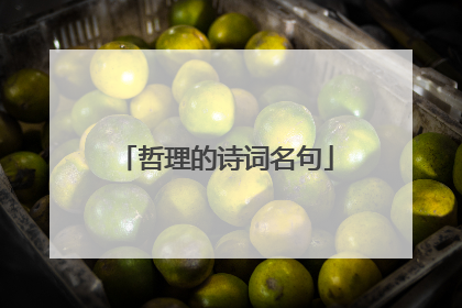 哲理的诗词名句