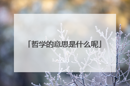 哲学的意思是什么呢