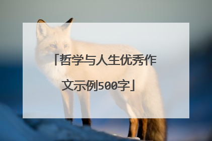 哲学与人生优秀作文示例500字