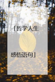 哲学人生感悟语句