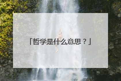 哲学是什么意思？
