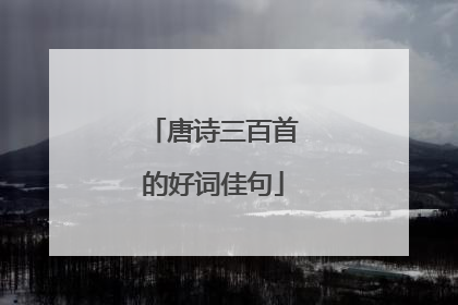 唐诗三百首的好词佳句