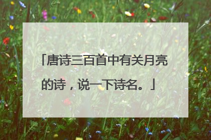 唐诗三百首中有关月亮的诗,说一下诗名。